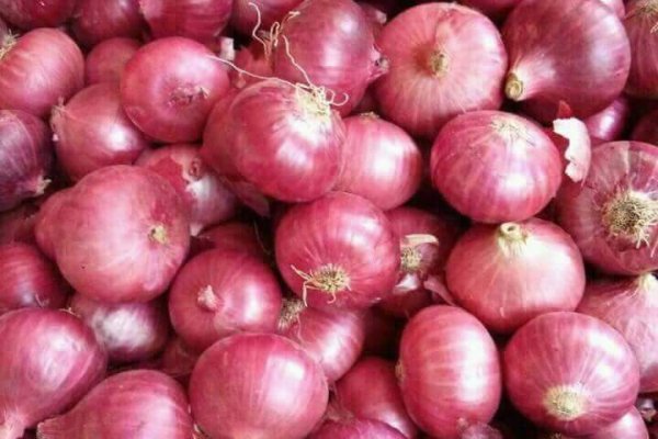 Новый сайт гидры onion